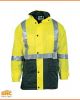 Yellow/Bottle Green